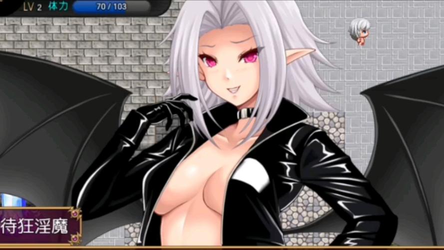 魅魔Succubus游戏安装教程免费无限制版截图