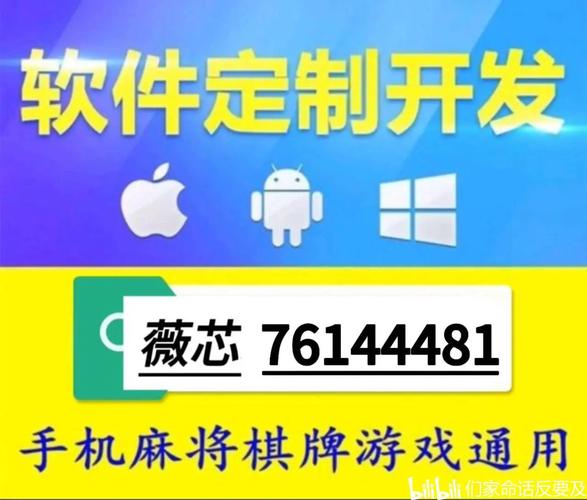 熊猫开挂器下载纪念版截图