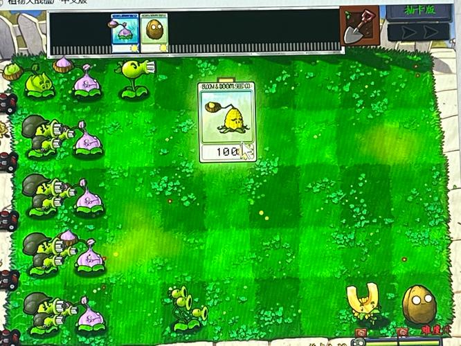 pvz随机抽卡版修改器怎么下载截图