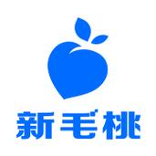 新毛桃u盘装系统截图