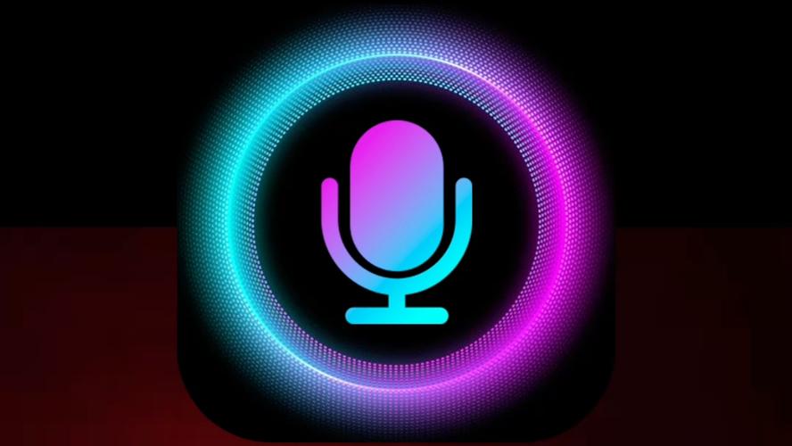 爱玩实时变声器纯净版截图