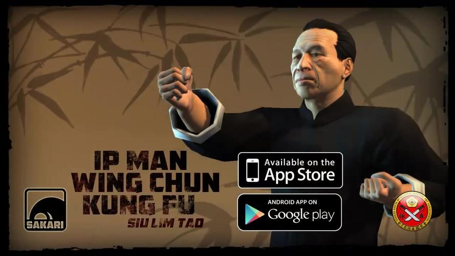 功夫·咏春叶问游戏截图