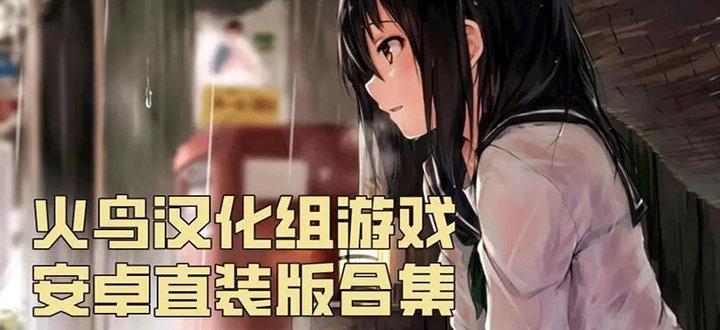 火鸟汉化组游戏安卓直装安卓版截图