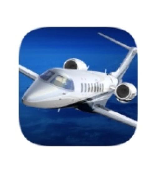 af飞行模拟器2021官网下载去广告破解版升级截图