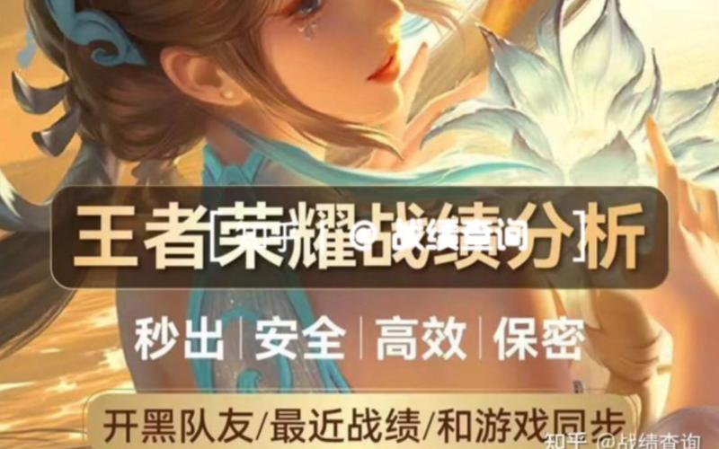 王者荣耀隐藏战绩查询软件下载截图