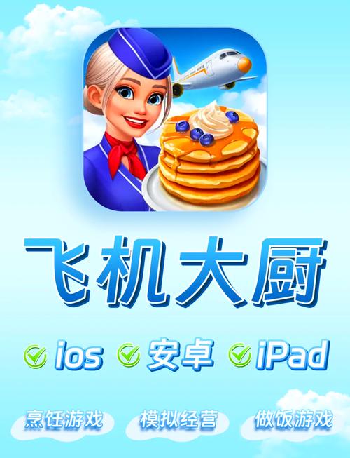 飞机大厨游戏免费高清影视截图