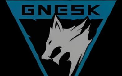 pubg白狼公益直装科技图标