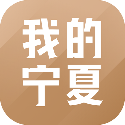 我的宁夏app安装图标