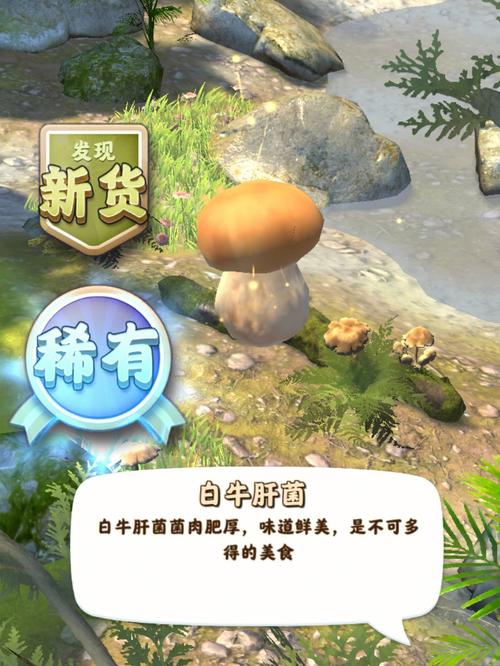 夺笋高手破解版无限钻石无限金币免广告电视版图标