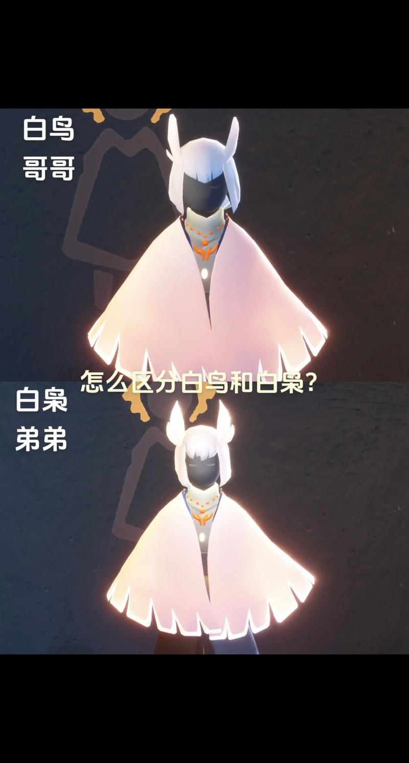 光遇白鸟脚本永久免费版截图