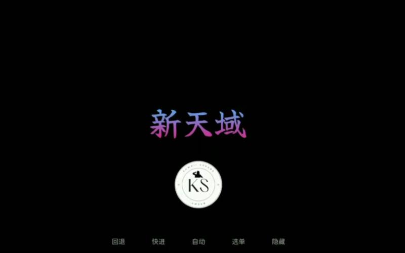 新天域汉化版slg安卓直装截图