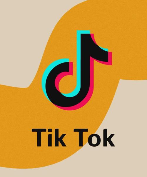 tiktok色板免费破解版橙色版缩略图