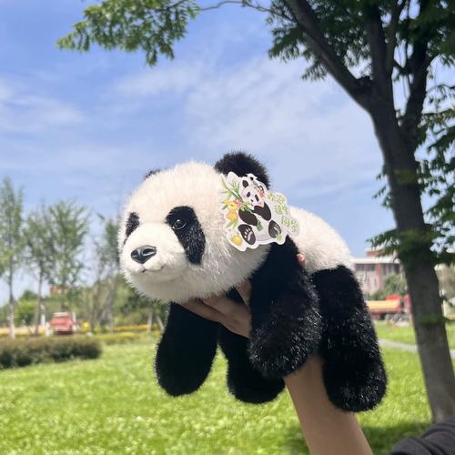 panda activate熊猫映射激活永久免费截图