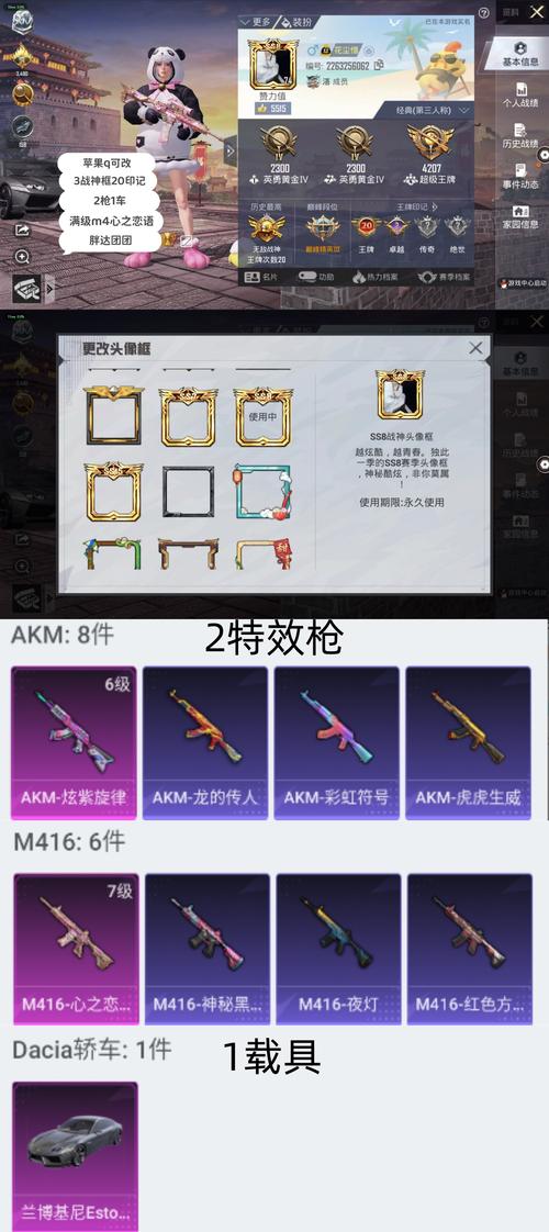 和平精英挂皮肤看书版截图
