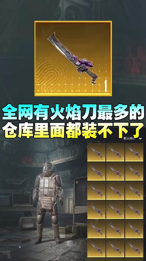和平精英火焰刀美化包下载永久vip版截图