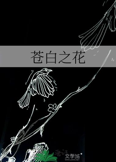 苍白之花截图