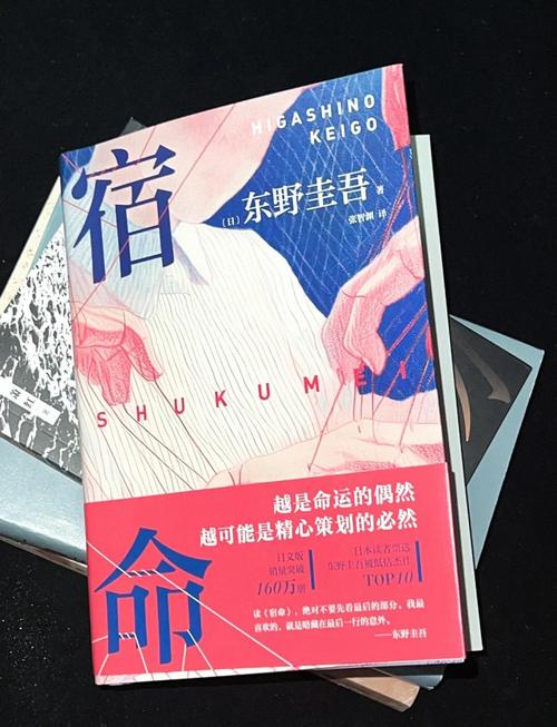 宿命论免费入口解锁全部书源截图