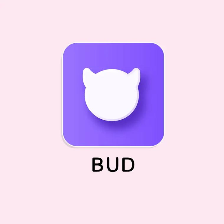 BUD国际服截图