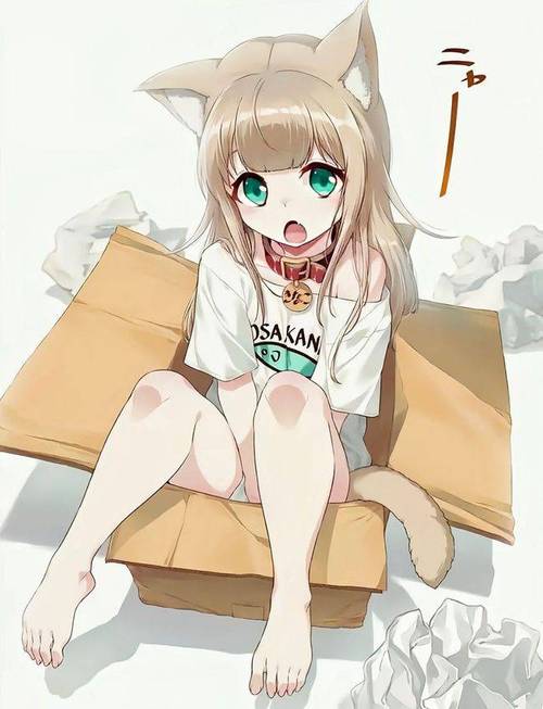 猫娘小萝莉游戏下载安卓版截图