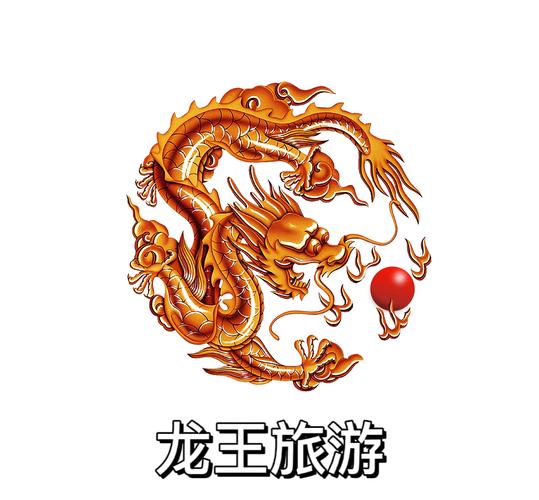 龙王辅助授权码截图