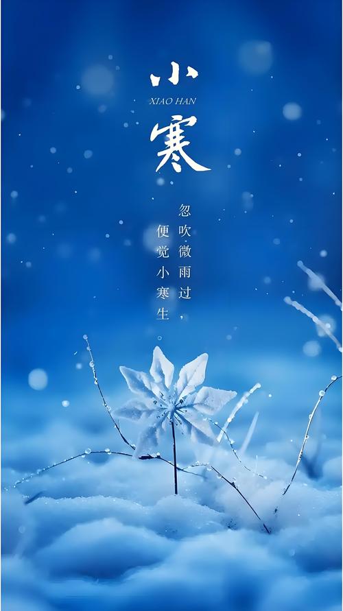 小寒公益改文件官方最新版本无弹窗版截图