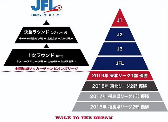 染星国体框架最新版24截图