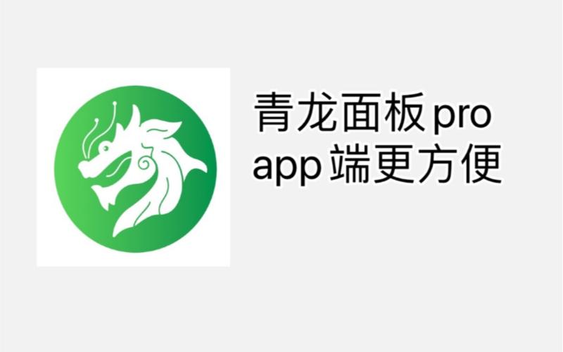 青龙直装辅助器截图