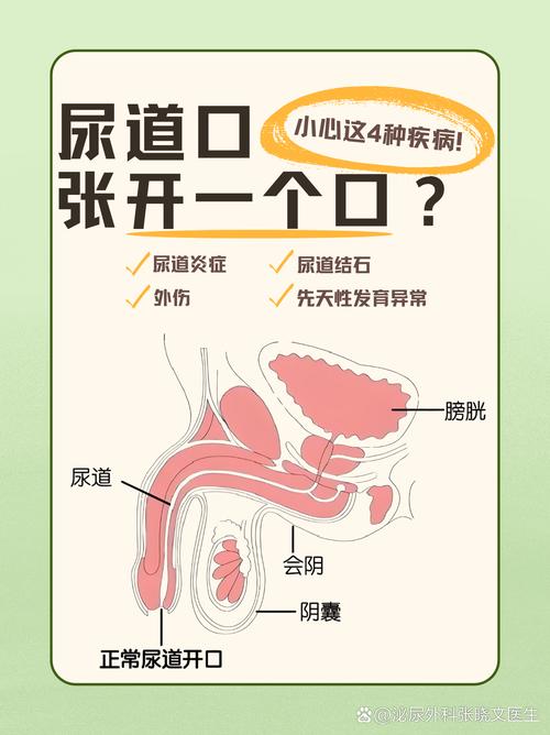 100款禁用黄免费a尿道口图标