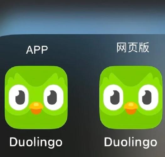 多邻国怎么恢复旧版本截图