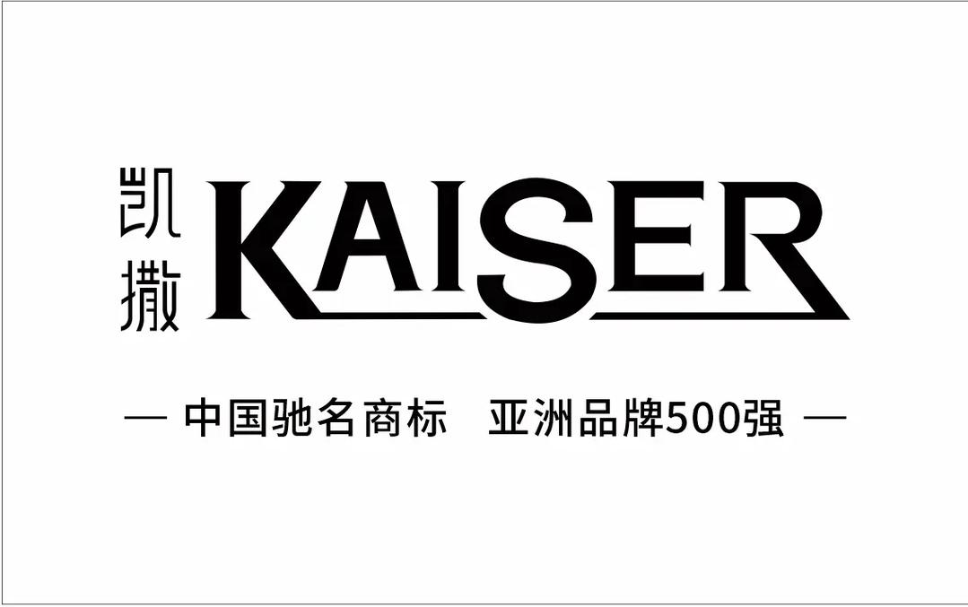 凯撒直装解锁全部书源图标