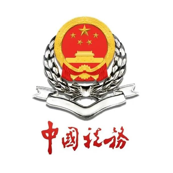 税务系统官方网站截图