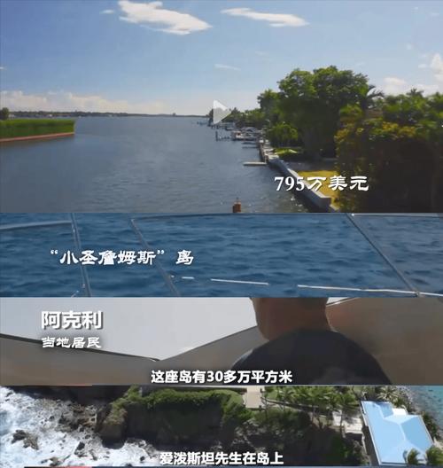 萝莉岛迅雷下载图标