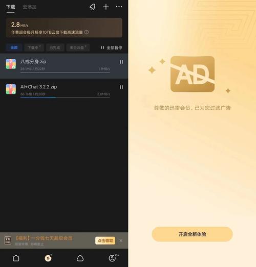 手机迅雷破解不限速vip版截图