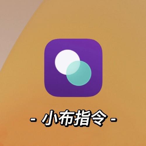 小布指令官方正版截图