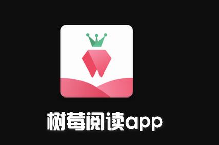 树莓小说截图