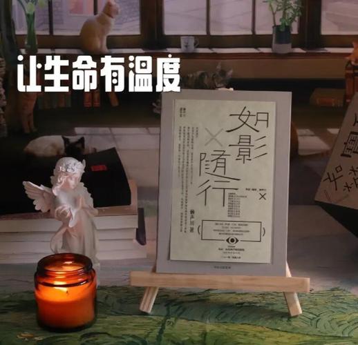 如影随行电视剧截图