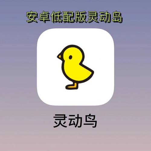灵动鸟app下载截图
