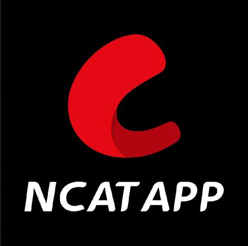 网飞猫纯净版官网安装最新版本截图