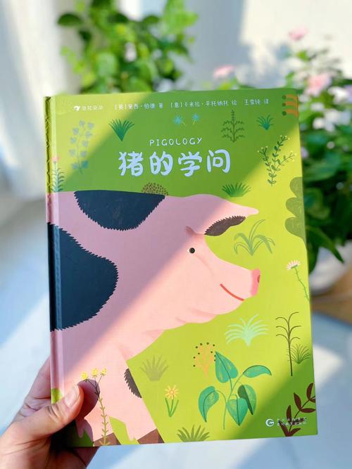 猪猪书本网截图