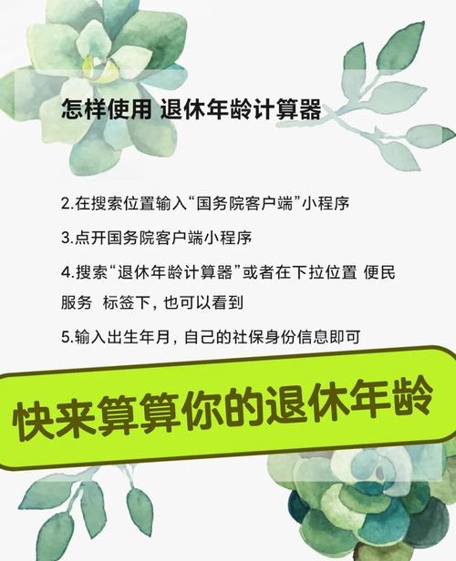 退休计算器2025最新版截图