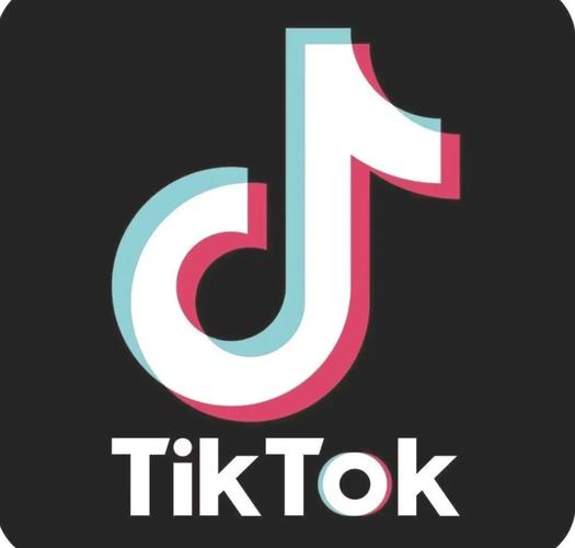 tiktok修改版解锁版下载旧版截图