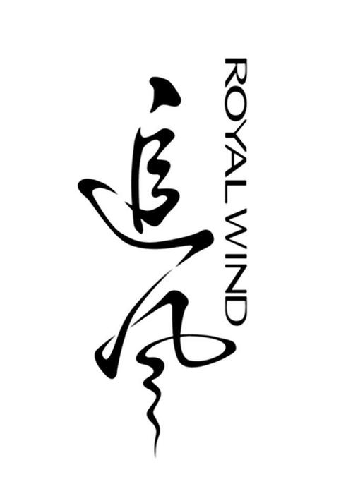 追风动漫截图