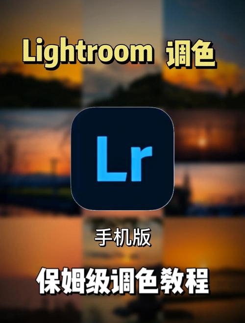lightroom入门教程破解版最新版缩略图
