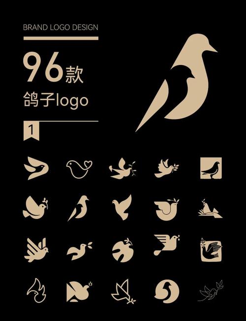 小鸽子资料修改版截图
