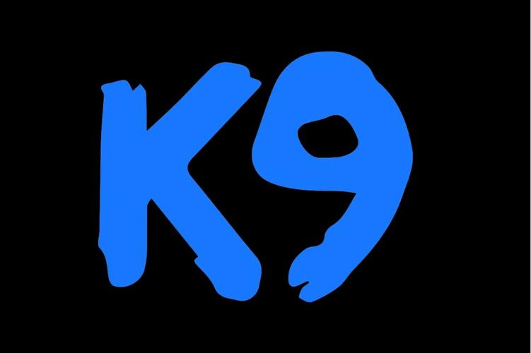 k9短视频免费版截图
