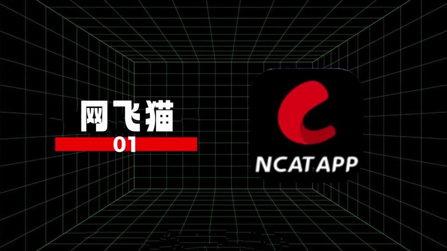 飞猫影视传媒APP官方版测试新版截图