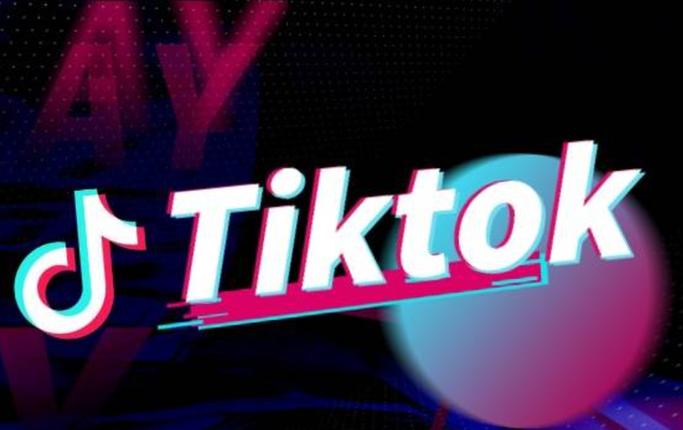 海外短视频分析平台tikstar下载截图
