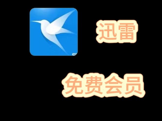 迅雷vip破解版永久会员截图
