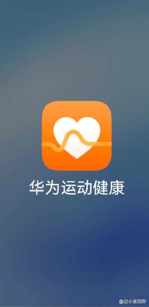 华为运动健康安卓版官方截图