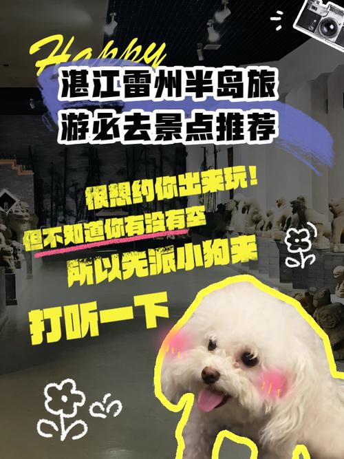 雷州半岛同城游截图